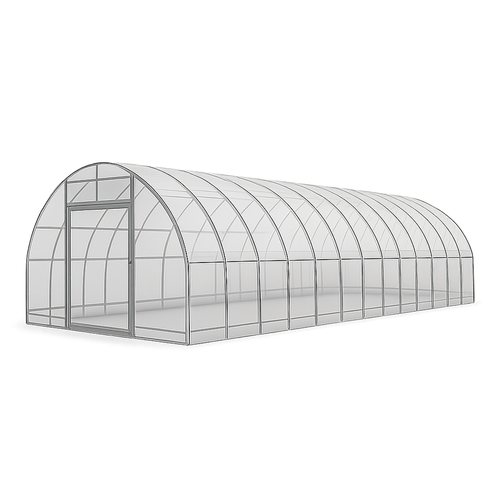 Serre de Jardin Tunnel Structure Métal Polycarbonate Transparent 6x3x2m