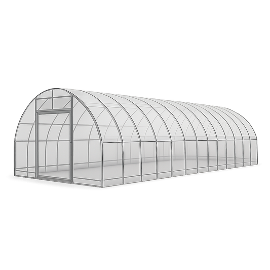 Serre de Jardin Tunnel Structure Métal Polycarbonate Transparent 6x3x2m